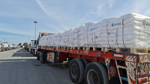 Fame a Gaza: con il cessate il fuoco entrano i primi camion del WFP